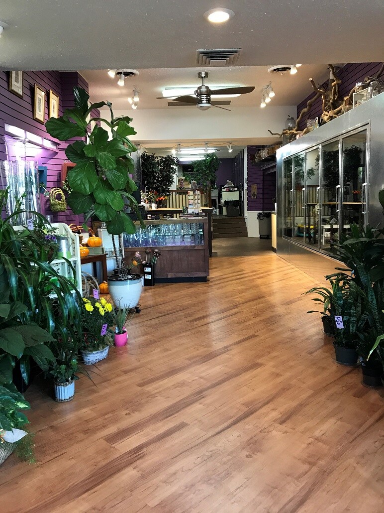 Inside our store